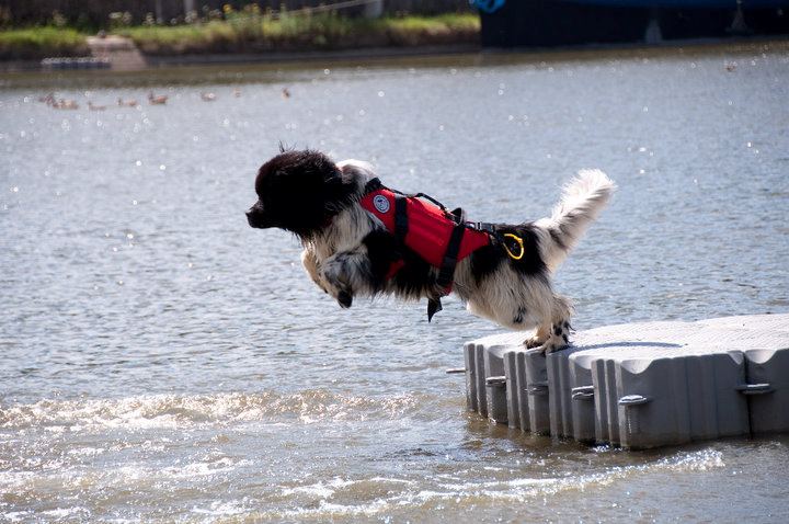 Flyboard